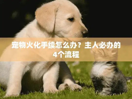 宠物火化手续怎么办？主人必办的4个流程