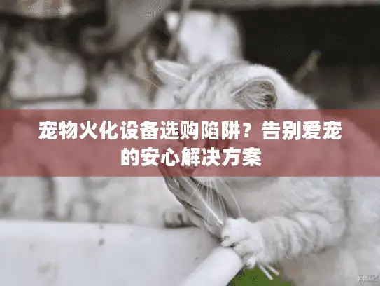 宠物火化设备选购陷阱？告别爱宠的安心解决方案