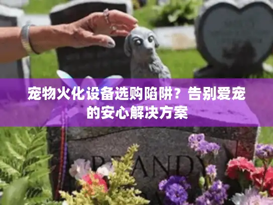 宠物火化设备选购陷阱？告别爱宠的安心解决方案