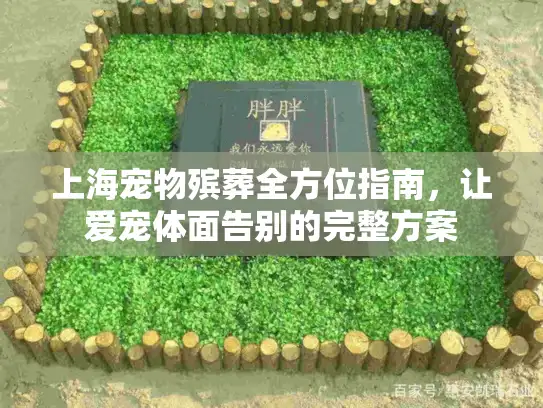 上海宠物殡葬全方位指南，让爱宠体面告别的完整方案