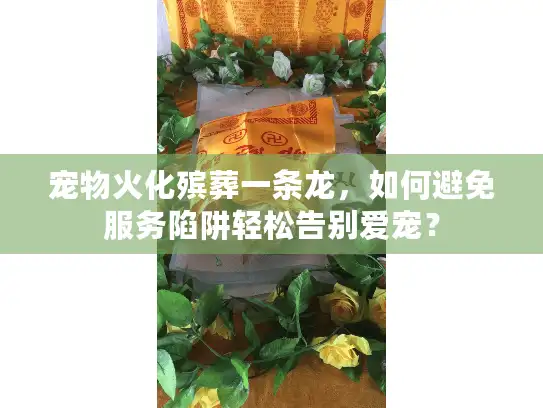 宠物火化殡葬一条龙，如何避免服务陷阱轻松告别爱宠？