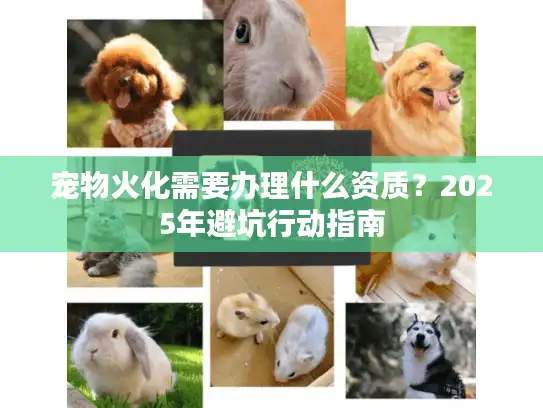 宠物火化需要办理什么资质？2025年避坑行动指南