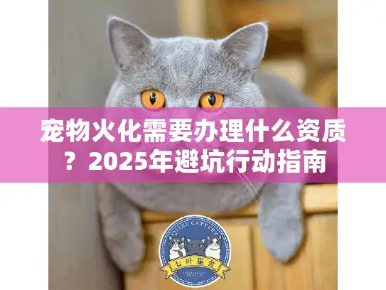 宠物火化需要办理什么资质？2025年避坑行动指南