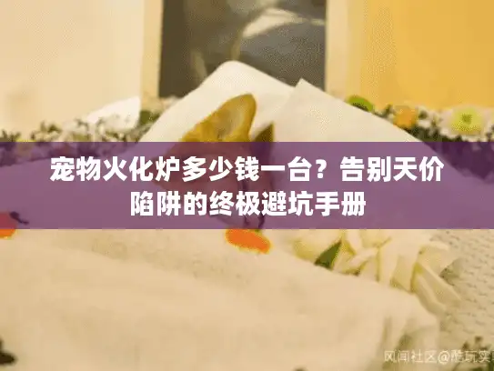 宠物火化炉多少钱一台？告别天价陷阱的终极避坑手册