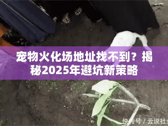 宠物火化场地址找不到？揭秘2025年避坑新策略