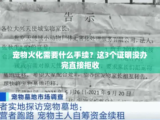 宠物火化需要什么手续？这3个证明没办完直接拒收