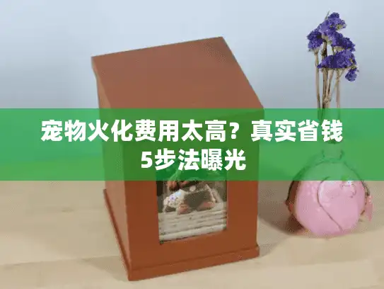 宠物火化费用太高？真实省钱5步法曝光
