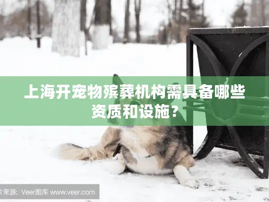 上海开宠物殡葬机构需具备哪些资质和设施？