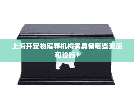 上海开宠物殡葬机构需具备哪些资质和设施？
