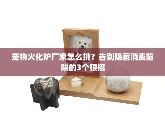宠物火化炉厂家怎么挑？告别隐藏消费陷阱的3个狠招