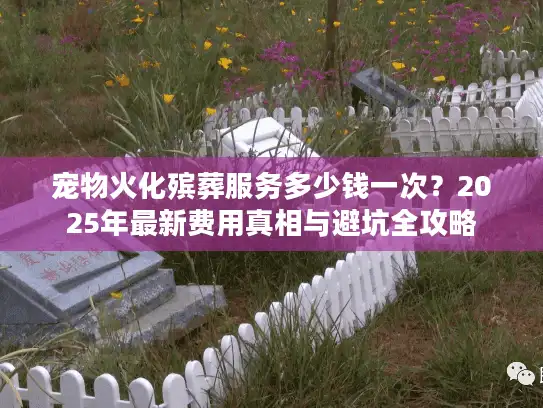 宠物火化殡葬服务多少钱一次？2025年最新费用真相与避坑全攻略