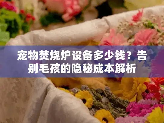 宠物焚烧炉设备多少钱？告别毛孩的隐秘成本解析
