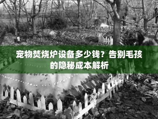 宠物焚烧炉设备多少钱？告别毛孩的隐秘成本解析