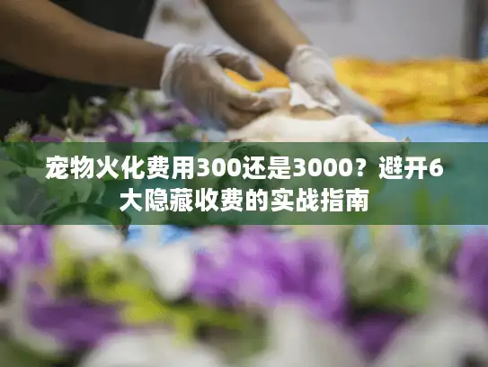 宠物火化费用300还是3000？避开6大隐藏收费的实战指南