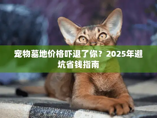 宠物墓地价格吓退了你？2025年避坑省钱指南
