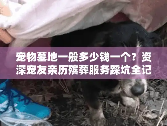 宠物墓地一般多少钱一个？资深宠友亲历殡葬服务踩坑全记录