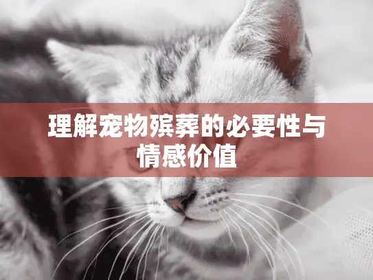 理解宠物殡葬的必要性与情感价值
