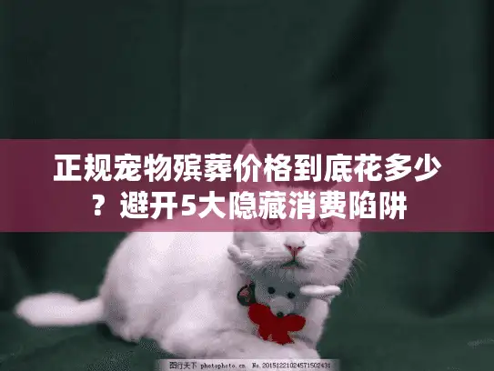 正规宠物殡葬价格到底花多少？避开5大隐藏消费陷阱