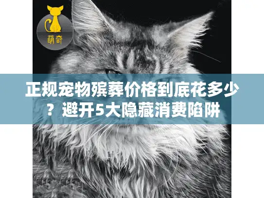 正规宠物殡葬价格到底花多少？避开5大隐藏消费陷阱