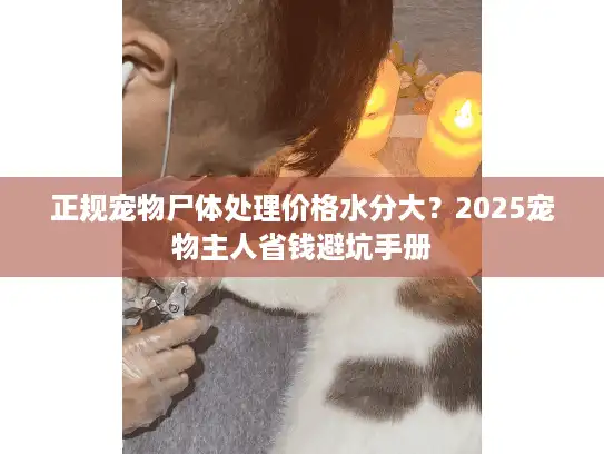 正规宠物尸体处理价格水分大？2025宠物主人省钱避坑手册