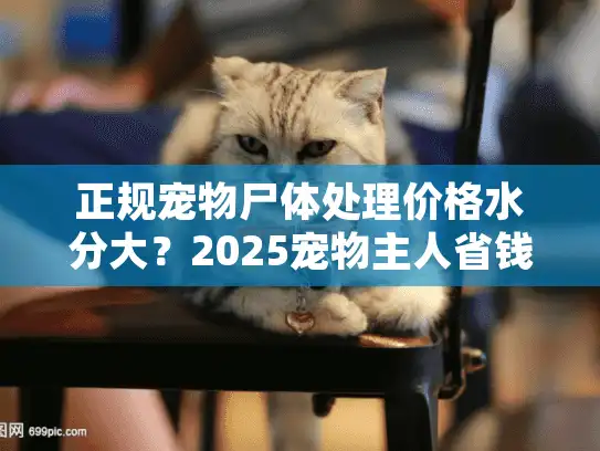 正规宠物尸体处理价格水分大？2025宠物主人省钱避坑手册