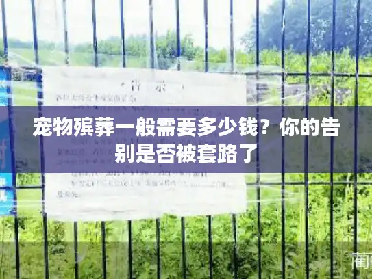 宠物殡葬一般需要多少钱？你的告别是否被套路了