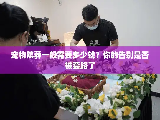 宠物殡葬一般需要多少钱？你的告别是否被套路了