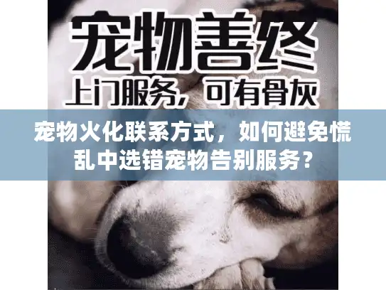 宠物火化联系方式，如何避免慌乱中选错宠物告别服务？