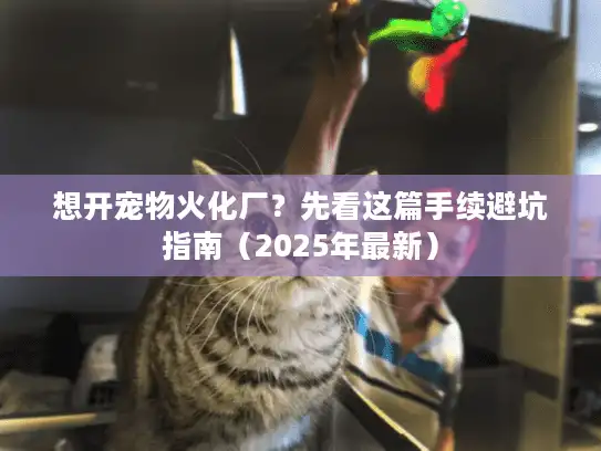 想开宠物火化厂？先看这篇手续避坑指南（2025年最新）
