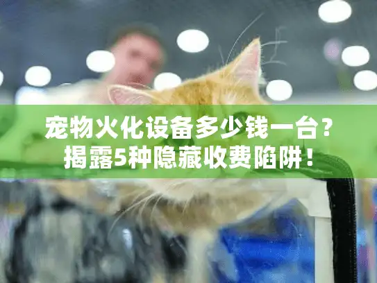 宠物火化设备多少钱一台？揭露5种隐藏收费陷阱！