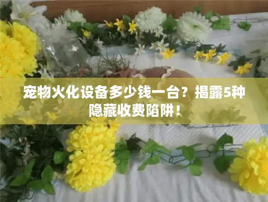 宠物火化设备多少钱一台？揭露5种隐藏收费陷阱！