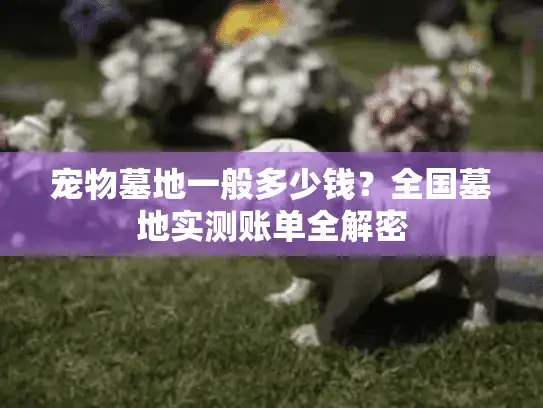 宠物墓地一般多少钱？全国墓地实测账单全解密