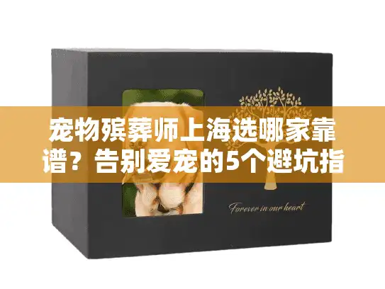 宠物殡葬师上海选哪家靠谱？告别爱宠的5个避坑指南