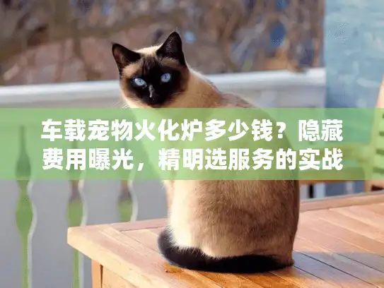 车载宠物火化炉多少钱？隐藏费用曝光，精明选服务的实战攻略