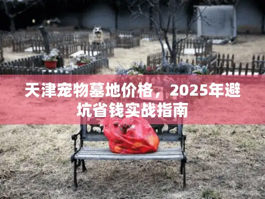 天津宠物墓地价格，2025年避坑省钱实战指南