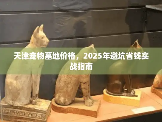 天津宠物墓地价格，2025年避坑省钱实战指南