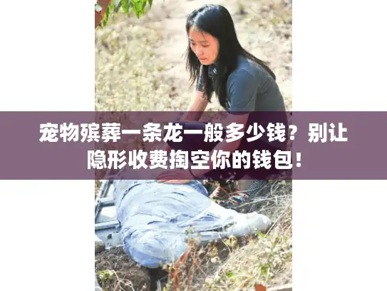 宠物殡葬一条龙一般多少钱？别让隐形收费掏空你的钱包！