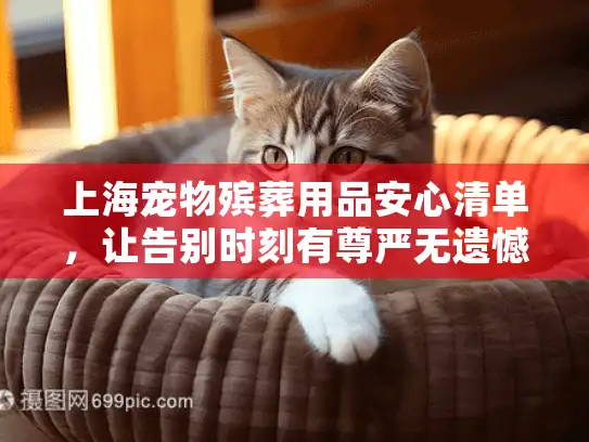 上海宠物殡葬用品安心清单，让告别时刻有尊严无遗憾