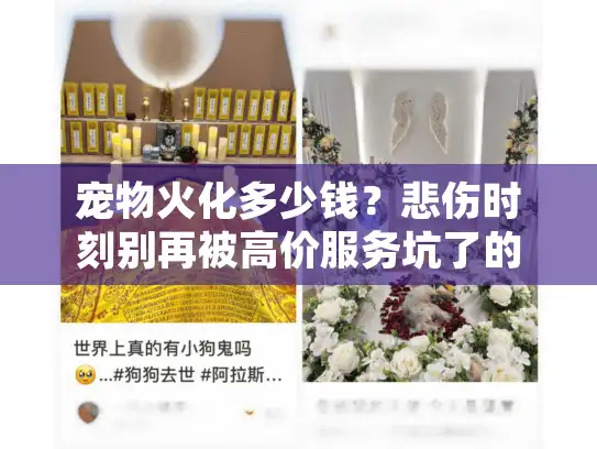 宠物火化多少钱？悲伤时刻别再被高价服务坑了的心得分享