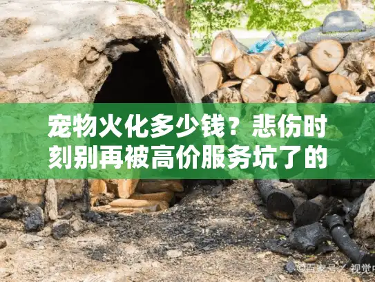 宠物火化多少钱？悲伤时刻别再被高价服务坑了的心得分享