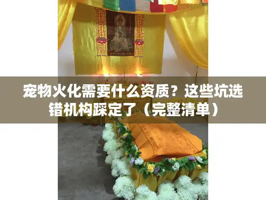 宠物火化需要什么资质？这些坑选错机构踩定了（完整清单）