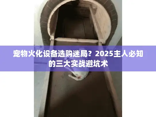 宠物火化设备选购迷局？2025主人必知的三大实战避坑术