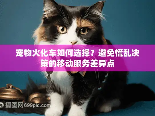 宠物火化车如何选择？避免慌乱决策的移动服务差异点