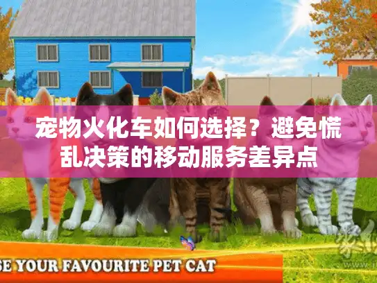宠物火化车如何选择？避免慌乱决策的移动服务差异点