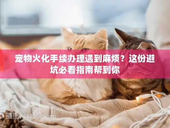 宠物火化手续办理遇到麻烦？这份避坑必看指南帮到你