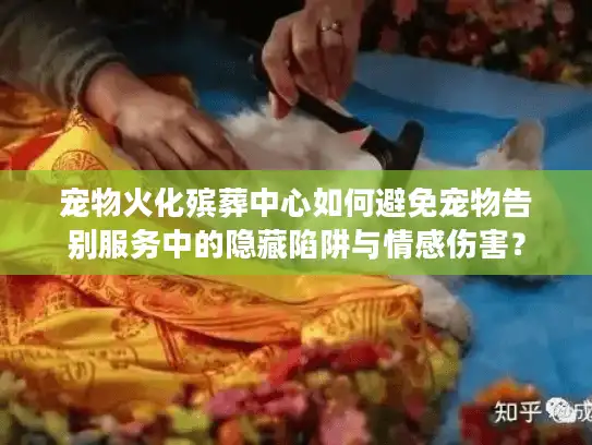 宠物火化殡葬中心如何避免宠物告别服务中的隐藏陷阱与情感伤害？