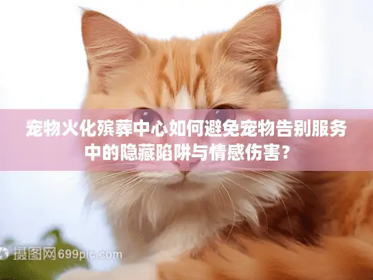宠物火化殡葬中心如何避免宠物告别服务中的隐藏陷阱与情感伤害？