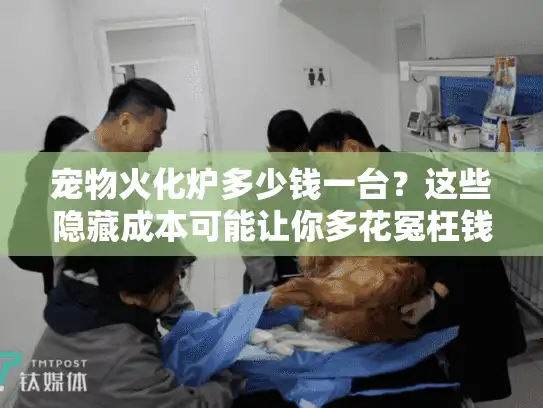 宠物火化炉多少钱一台？这些隐藏成本可能让你多花冤枉钱