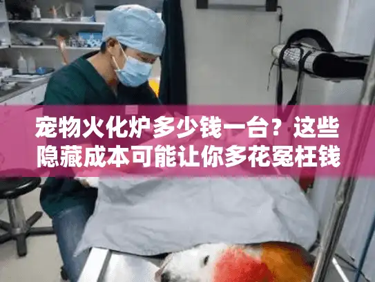 宠物火化炉多少钱一台？这些隐藏成本可能让你多花冤枉钱