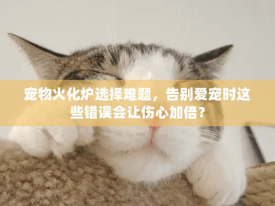 宠物火化炉选择难题，告别爱宠时这些错误会让伤心加倍？